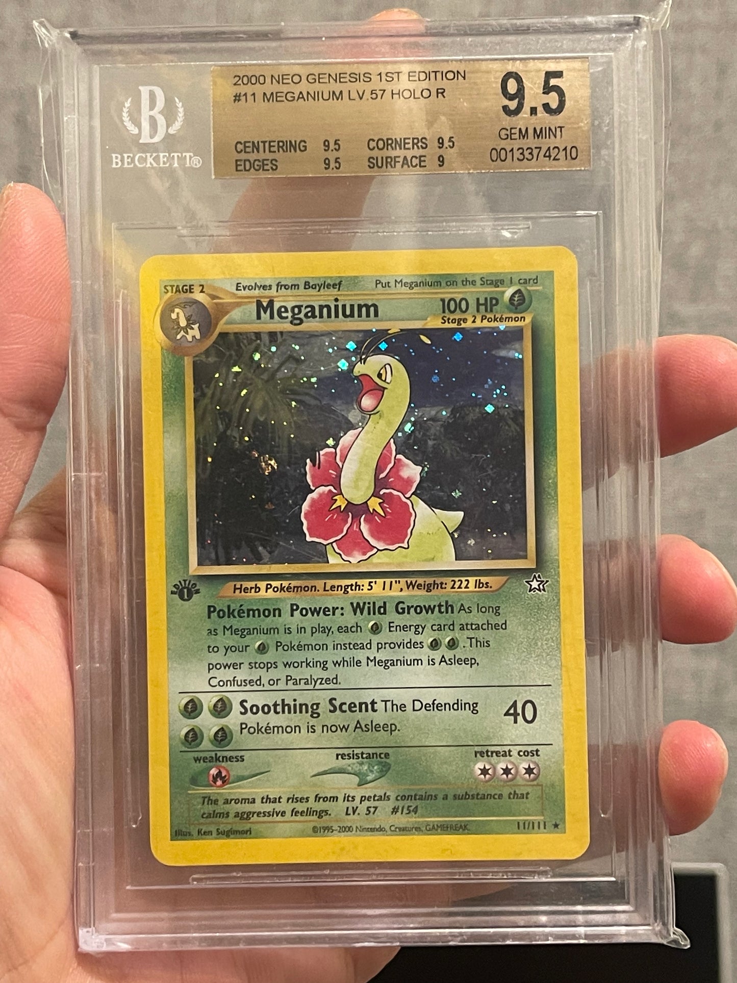 First Edition Meganium Neo Genesis BGS 9.5 Gem Mint